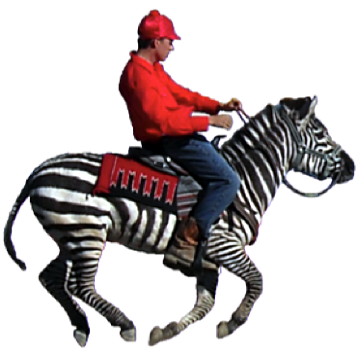 zebra rider